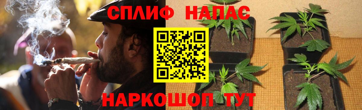 Дмитров  Бошки марихуана AK-47  Каннабис семена  Вход с VPN 